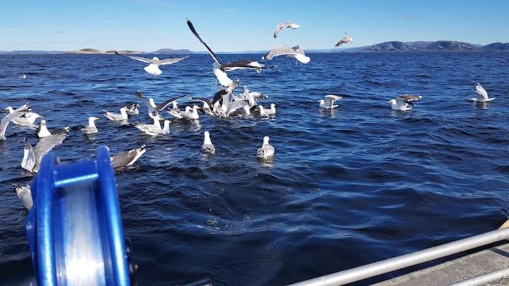 Gjestehus Pa Bondegard, Med Batutleie Namsos Dış mekan fotoğraf