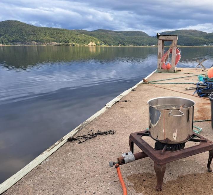 Gjestehus Pa Bondegard, Med Batutleie Namsos Dış mekan fotoğraf
